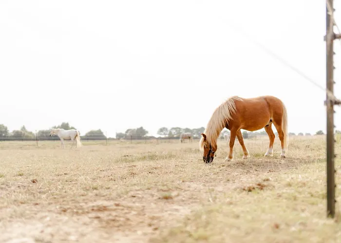 Alte Schule 8 بيت للعطل