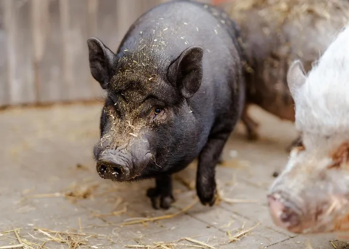 Alte Schule 8 بيت للعطل