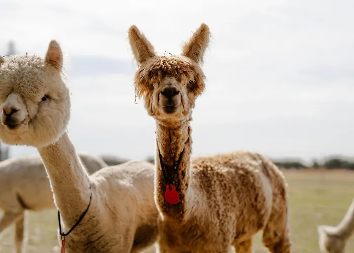 بيت للعطل Alte Schule 8