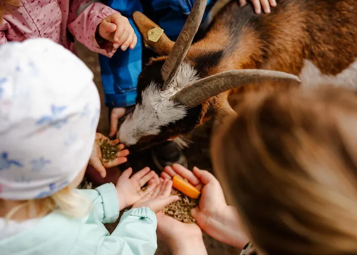 بيت للعطل Alte Schule 8 *