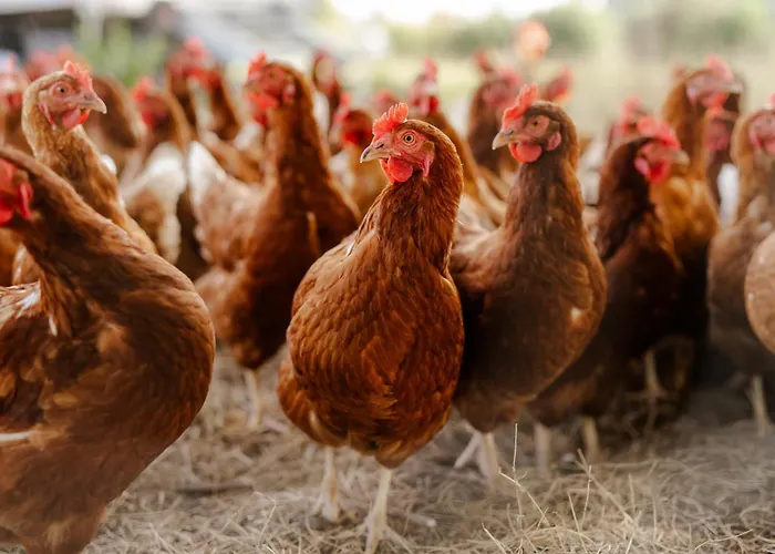 بيت للعطل Alte Schule 8 Staberdorf