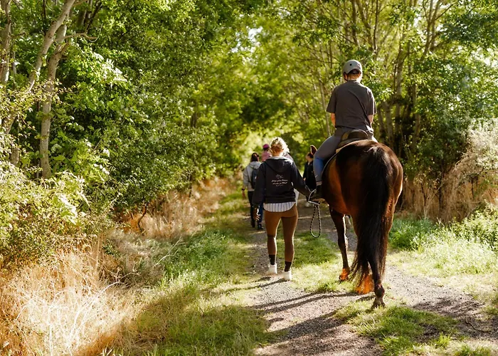 بيت للعطل Alte Schule 8 *