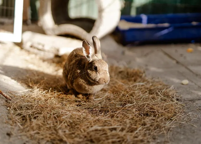 Alte Schule 8 بيت للعطل Staberdorf