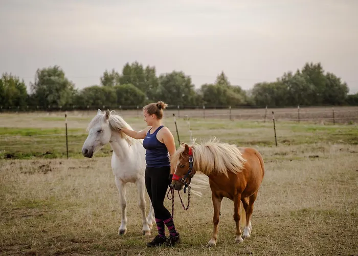 بيت للعطل Alte Schule 8