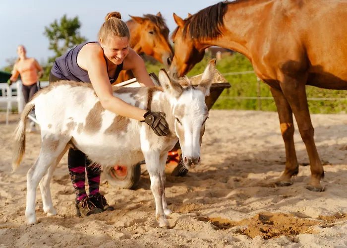بيت للعطل Alte Schule 8 Staberdorf